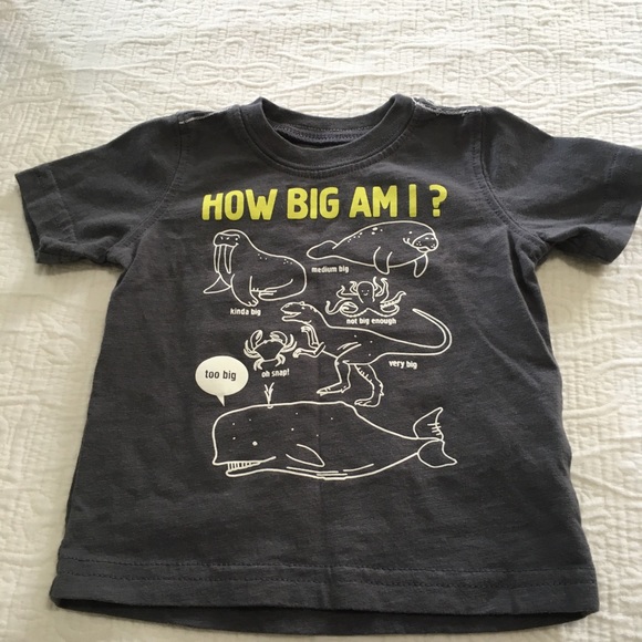 6m (6/$20) Animal-Themed Light Vest and Tee - Picture 2 of 10